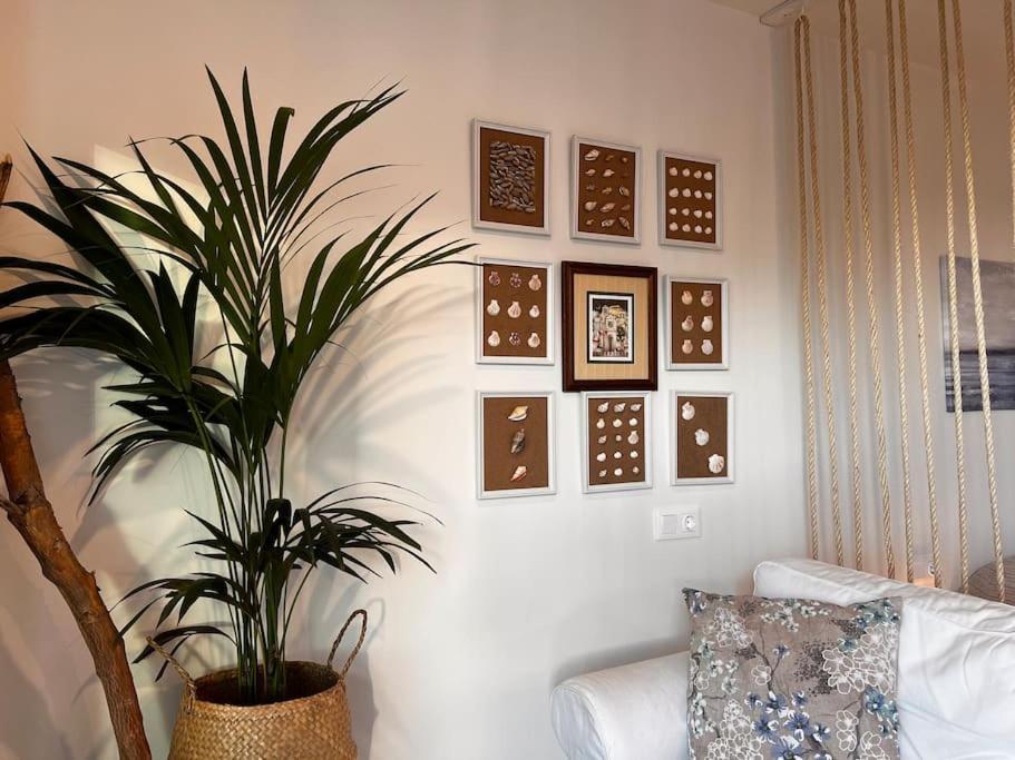 Ocean Dream Apartments - Lovely Sea View Studio Apartment 5Min From Beach San Marcos  Exteriér fotografie